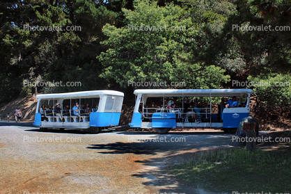 Angel Island Tram service