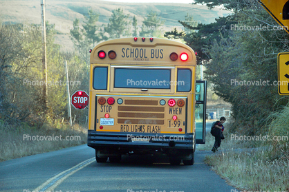 School bus stopping