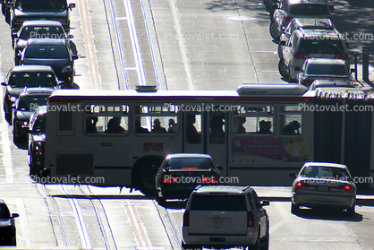 6242, Muni Articulated bus, Car, automobile