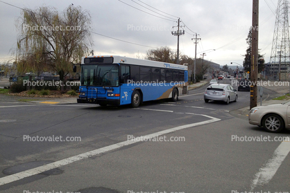 Petaluma Bus, Cars