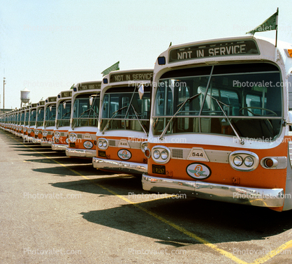Row of Buses, AC Transit, 1983, 1980s
