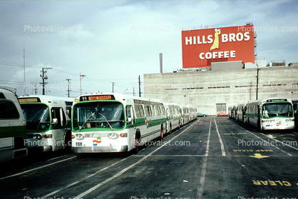 Hills Brothers Coffee, Golden Gate Transit