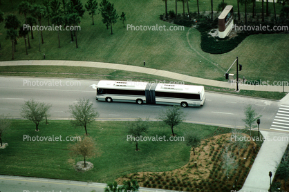 Articulated Bus, Orlando