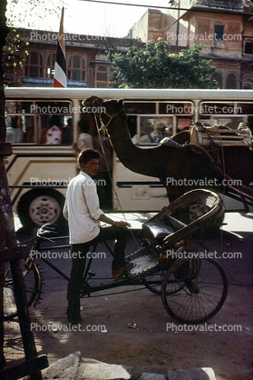 Three-wheeler, Camel, Bus, Jaipur, 1950s