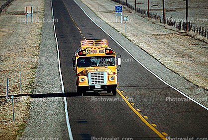 schoolbus head-on, Highway 118, Texas