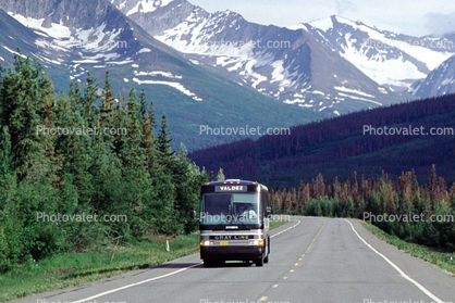 Gray Line to Valdez, Chugach Mountains, forest, highway-4