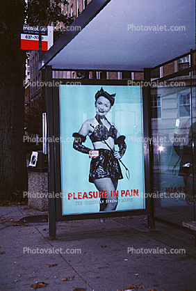 Bus Stop, Poster, Pleasure in Pain