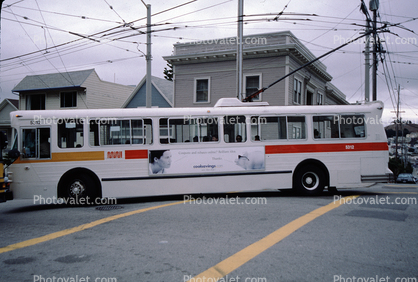 Trolleybus