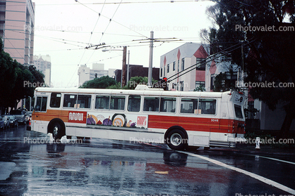 Electrified Trolleybus, rain, wet, slick, road, crosswalk