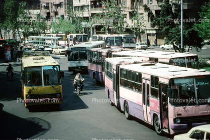 Crowded with Buses