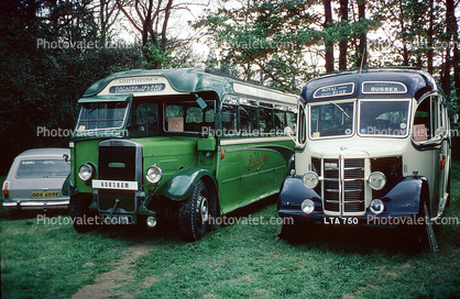 Leyland, Bedford, Royal Blue, Southdown, Horsham, Hayling Island Coronation Camp, 1950s