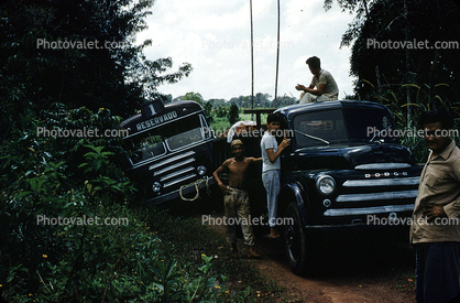 Bus, Dodge Truck, Men, Guys, Jungle, 1960s