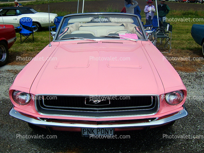 Pink 1968 Ford Mustang, Convertible, Cabriolet, Front, 302 CI Engine, headlights, Car, head-on, 1960s, automobile