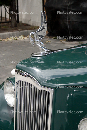 Packard Super-8, Hood Ornament, Swan