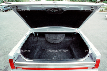 trunk