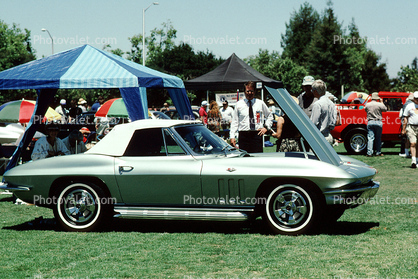Corvette Stingray, Chevy, Chevrolet, Cabriolet, Convertible, 1960s