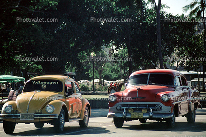 VW-Bug, Volkswagen-Bug, Volkswagen-Beetle, Cars, Automobile, Vehicles, 1950s
