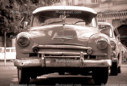 Chevy, head-on, Chevrolet, automobile, Car, Vehicle, 1950s