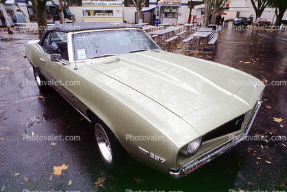 Chevrolet Camero, Chevy, automobile, 1960s