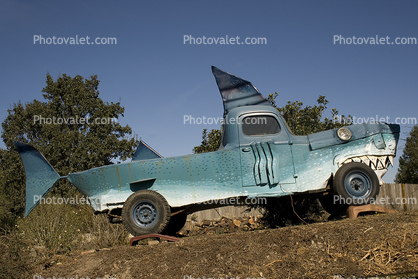 Shark Car, automobile