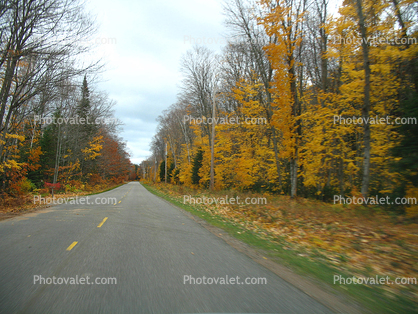 Road, Roadway, Fall Colors, Autumn, Deciduous Trees, Woodland, Whitefish Bay, Michigan