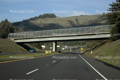 Overpass, Highway US 101, North Bound, Mendocino County