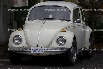 Volkswagen bug, Car, Automobile, 2010's