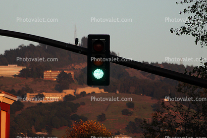 Traffic Signal Light