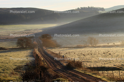 Dirt Road, Early Morning, unpaved