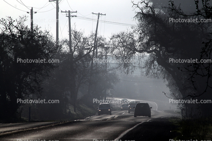 Highway 116, Sebastopol, Winter Haze