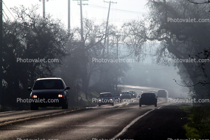 Highway 116, Sebastopol, Winter Haze, Car, 2010's