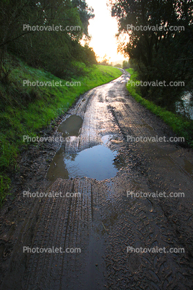 Muddy Road, Two-Rock, Sonoma County