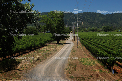 Dirt Road, Alaxander Valley, Sonoma County, unpaved