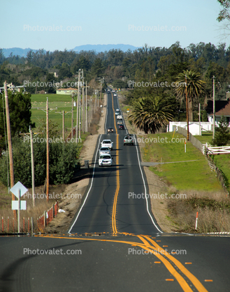Adobe Road, Petaluma, Yellow Line, Highway, road, cars, trees