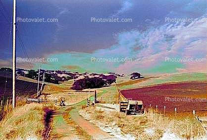 Dirt Road, field, shack, fence, hills, Sonoma County