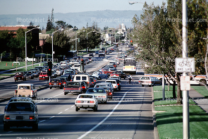 Level-D traffic, Car, Automobile, Vehicle