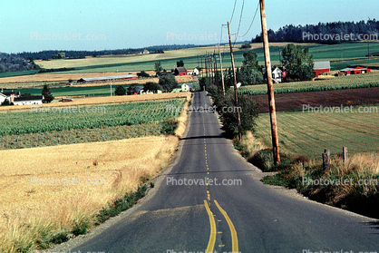 Road, highway, Whidby Island Washington