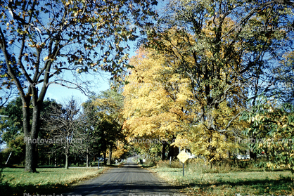 country road, autumn