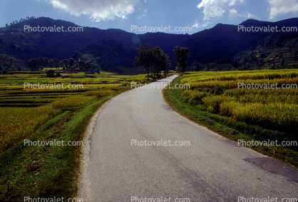 road, curve in a Roadway, Araniko Highway