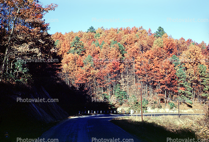 Highway, Roadway, Road, Fall Colors, Autumn, Deciduous Trees, Woodland, Forest