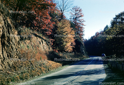 Fall Colors, Autumn, Deciduous Trees, Woodland, Highway, Roadway, Road