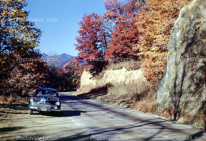 1949 Buick Roadmaster, Autumn, Deciduous Trees, Woodland, 1940s