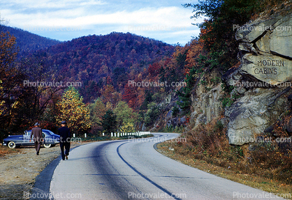 S-Curve, Highway, Roadway, Road, Fall Colors, Autumn, Deciduous Trees, Woodland, 1950s