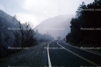 Highway, Roadway, Road, Mariposa County