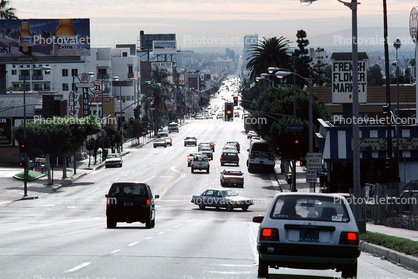 Hollywood, Avenue, Street, Level-A Traffic
