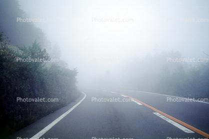 road up Mount Fuji, Highway, Roadway, Fog