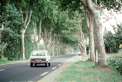 Tree Lined Road, Street, Highway, Valmy, Roadway, Road