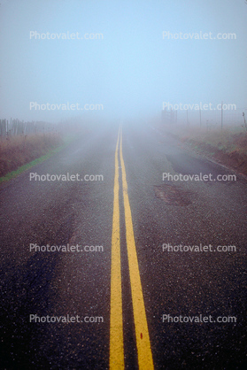 Double Yellow Line, Sonoma County fog