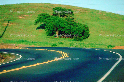 Sonoma County, Highway, Roadway, Road curve