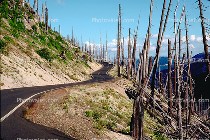 Mount Saint Helens Volcanic National Park after the eruption, Highway, Roadway Road